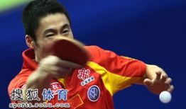 王励勤乒乓球比赛视频,精彩瞬间回顾