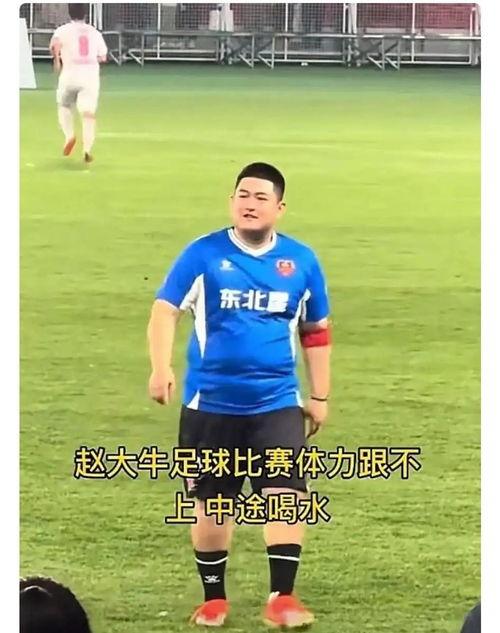 娱乐吃瓜酱明星踢球